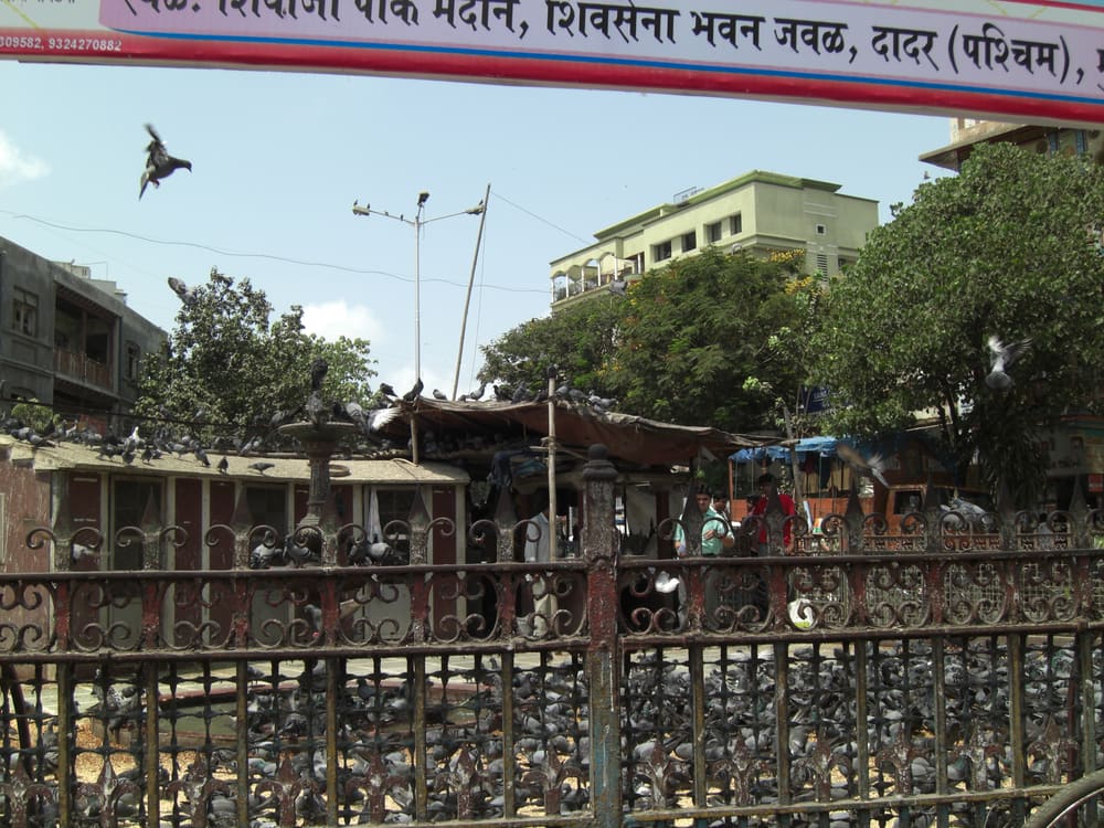 Dadar and Shivaji Park: A Neighbourhood Guide (2026)